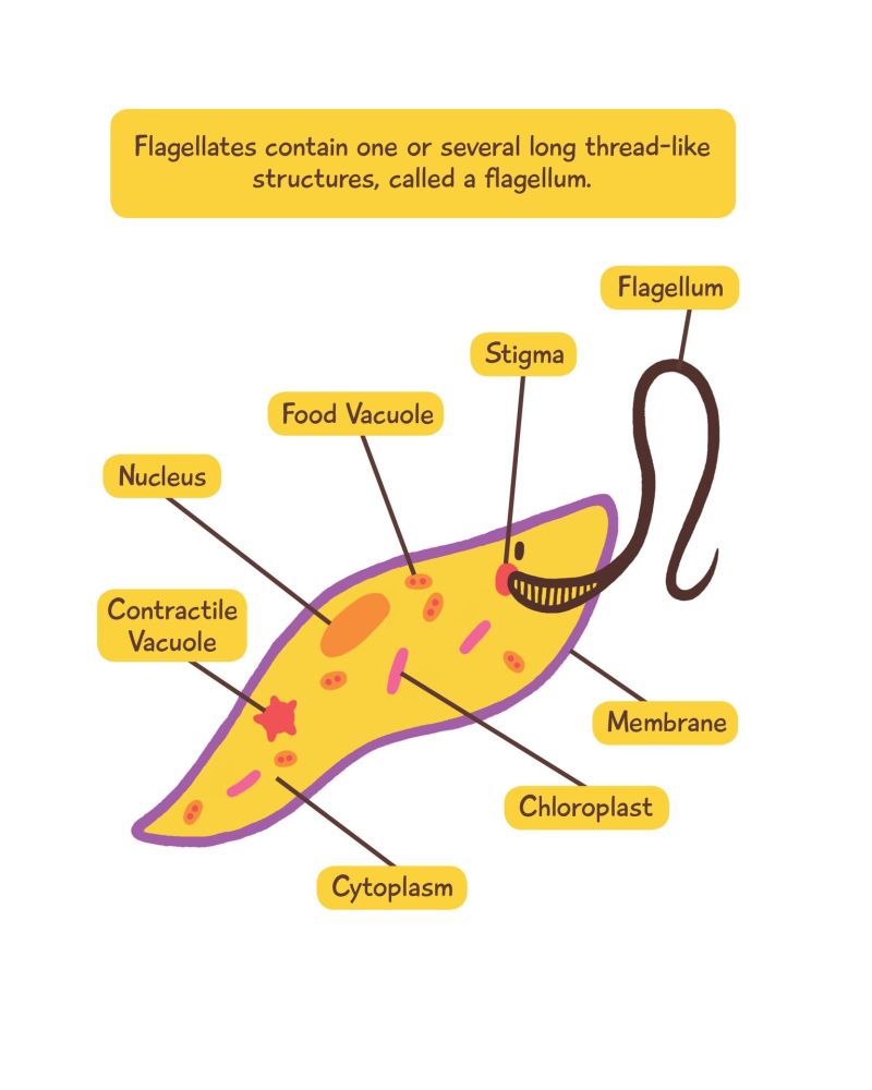 Sample page 1_preview