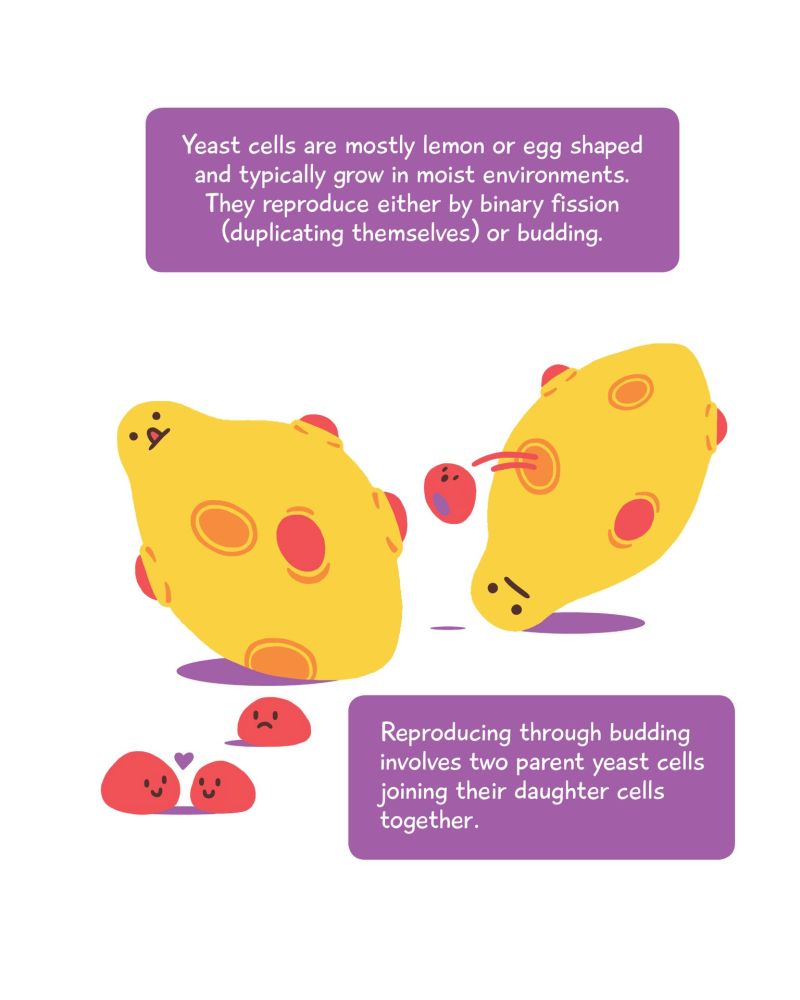 Sample page 3_preview