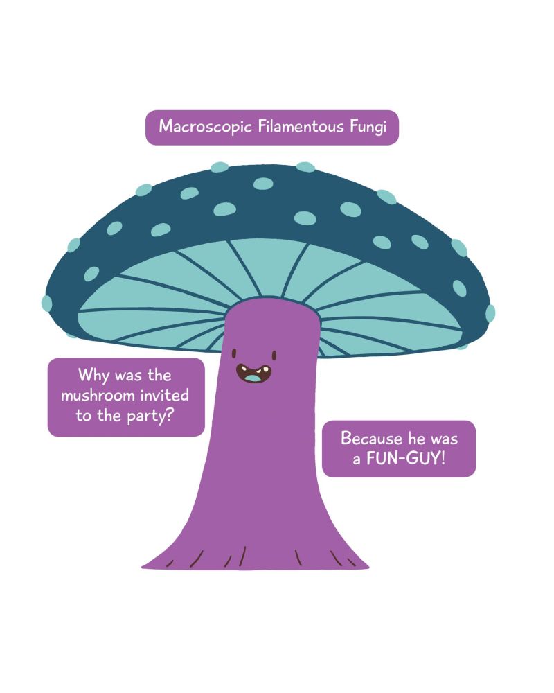 Sample page 4_preview