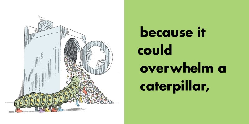 lots-more-animals-should-definitely-not-wear-clothing-9781481488662.in05